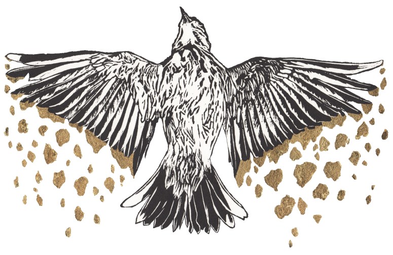 Moira MeltzerCohen, Attorney at Law The practice of law, in pursuit